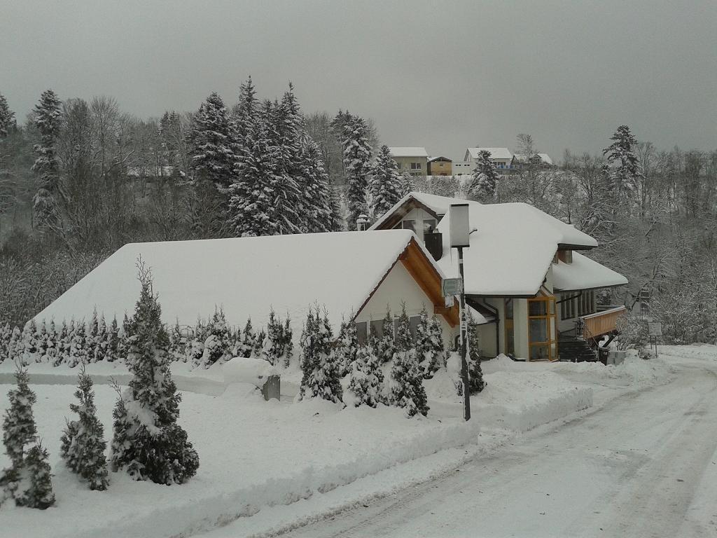 Dzt-Schwarzwaldhotel Garni Unterkirnach Extérieur photo